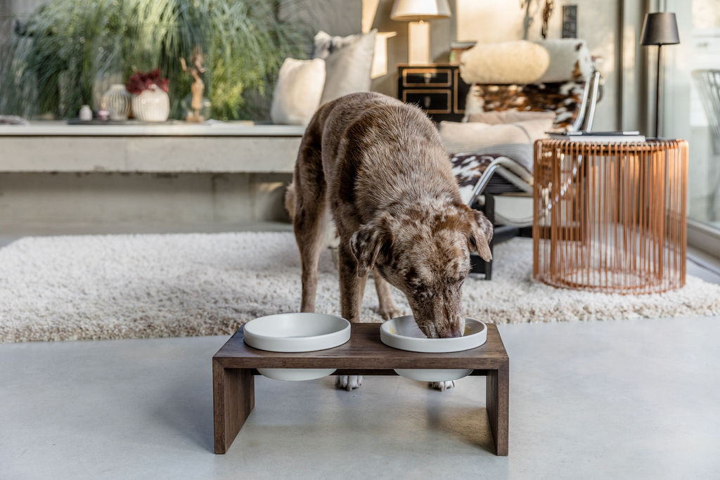 Tierbedarf WOLTERS cat & dog GmbH