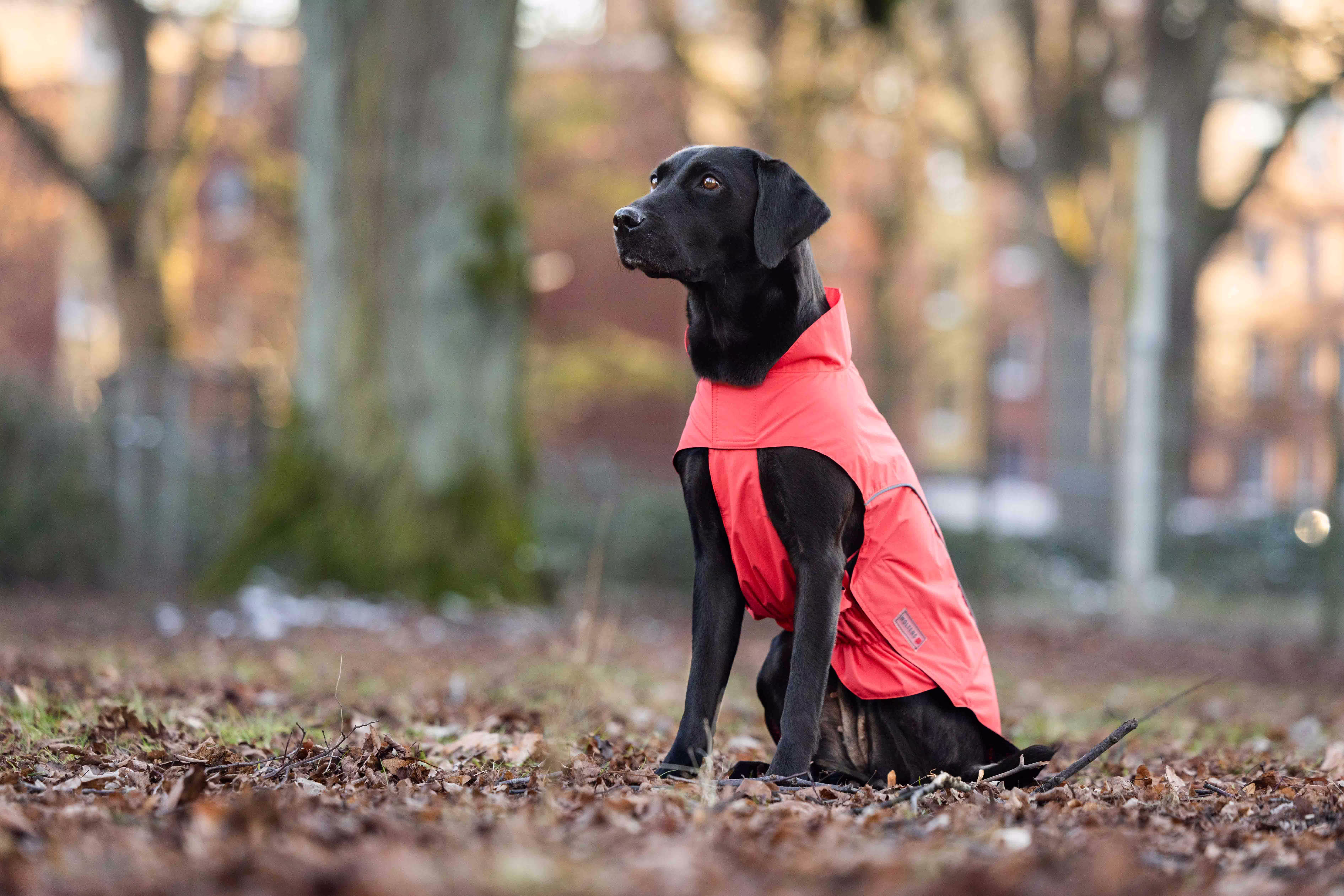 Regenjacke Easy Rain