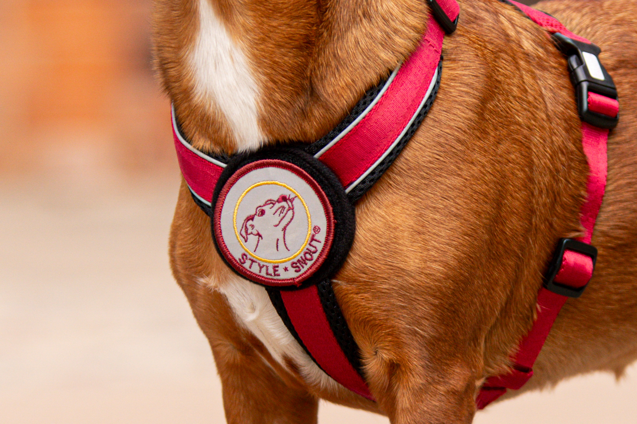 StyleSnout Patch&Style Geschirr