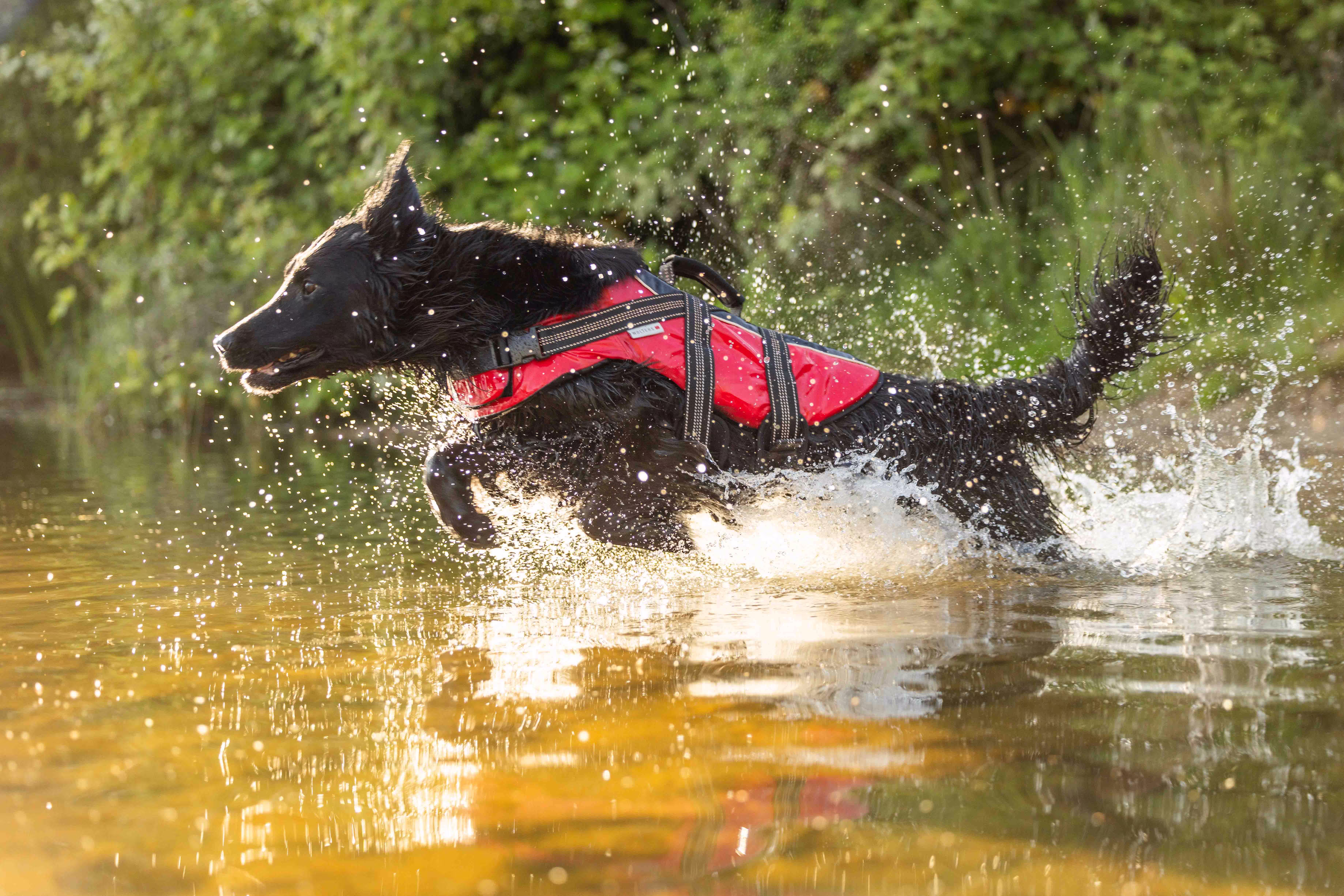 watchout Schwimmweste