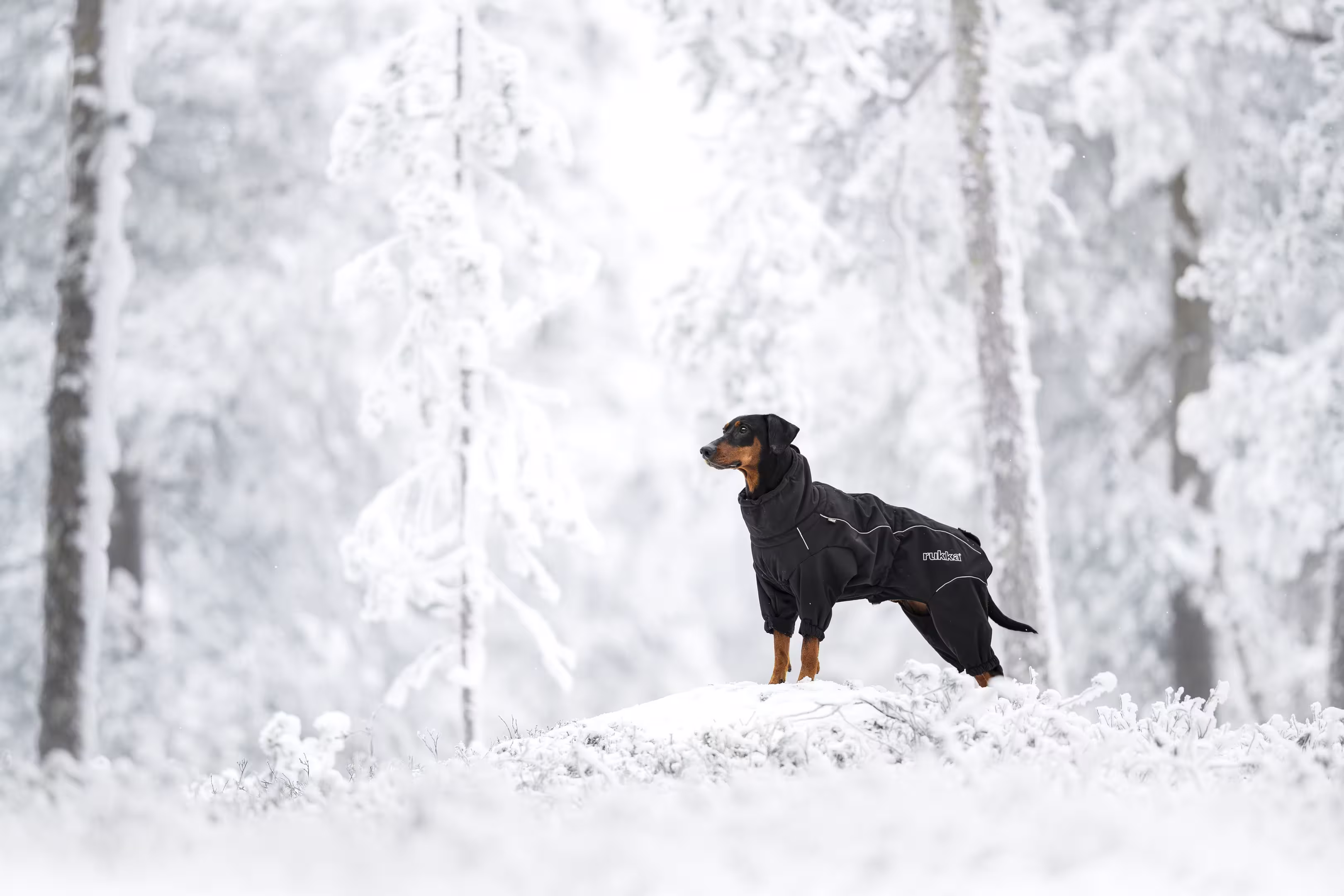 Rukka Pets Thermo-Overall 2.0
