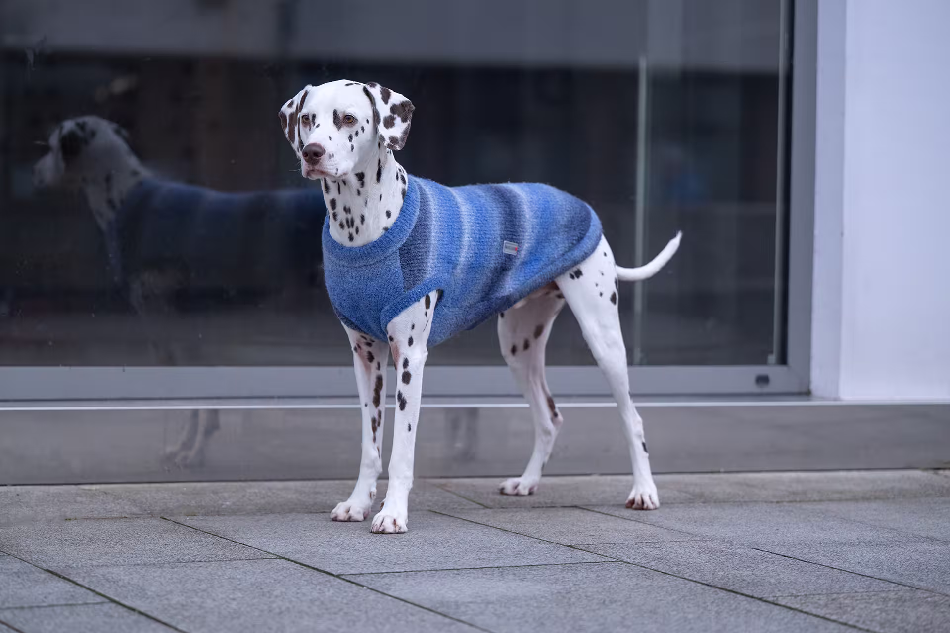 Sweter dzianinowy Sky oversize – szeroki krój