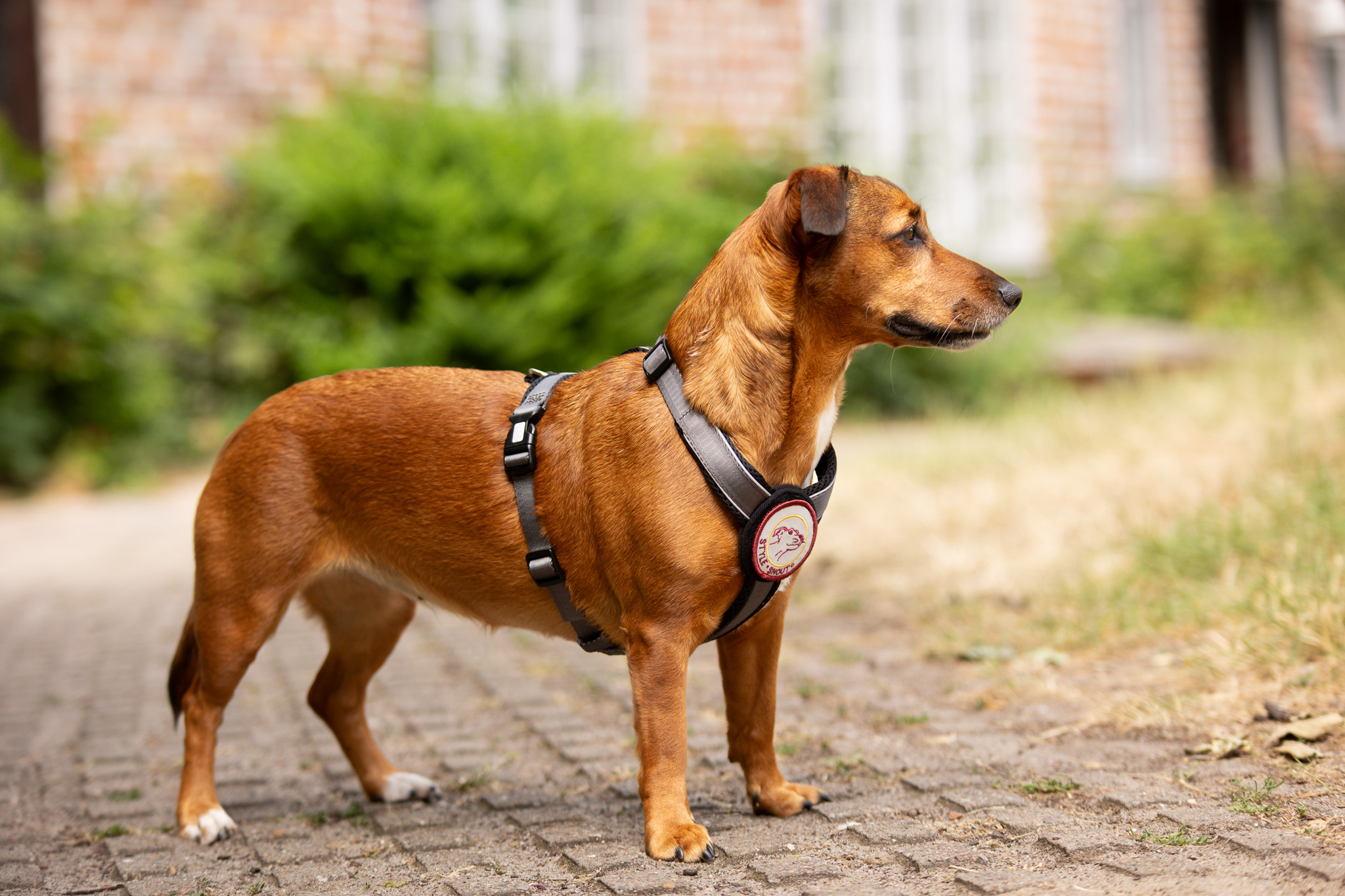 Tierbedarf WOLTERS cat & dog GmbH