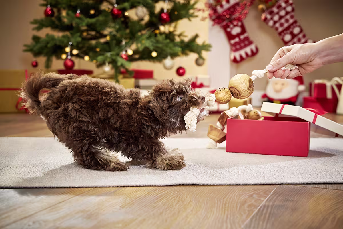 Olivi Weihnachts-Spielzeug