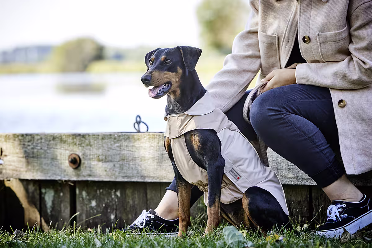  WOLTERS cat & dog GmbH