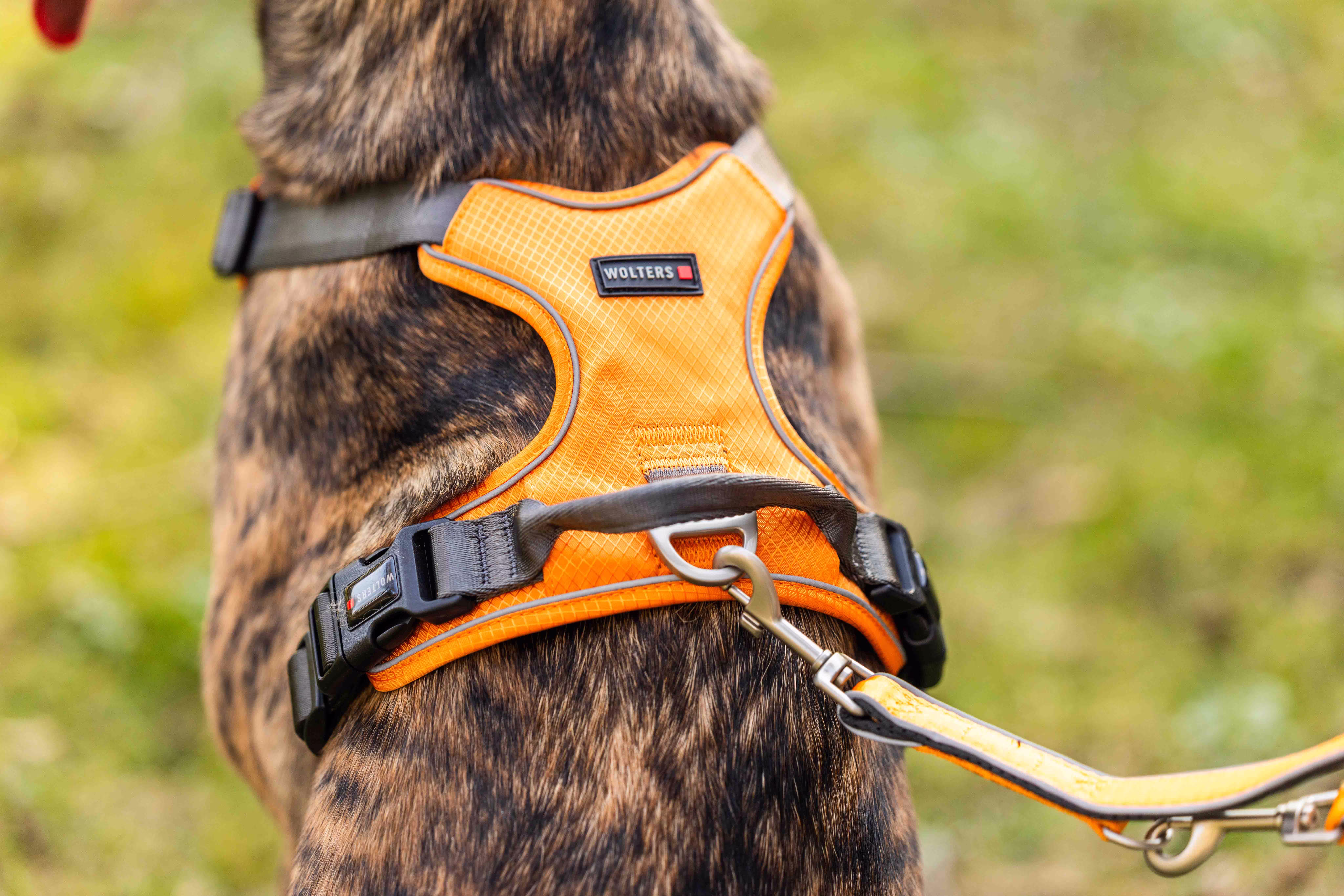 Active Pro Comfort Geschirr WOLTERS cat & dog GmbH