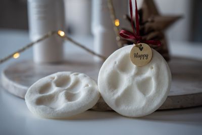 Tierbedarf WOLTERS cat & dog GmbH