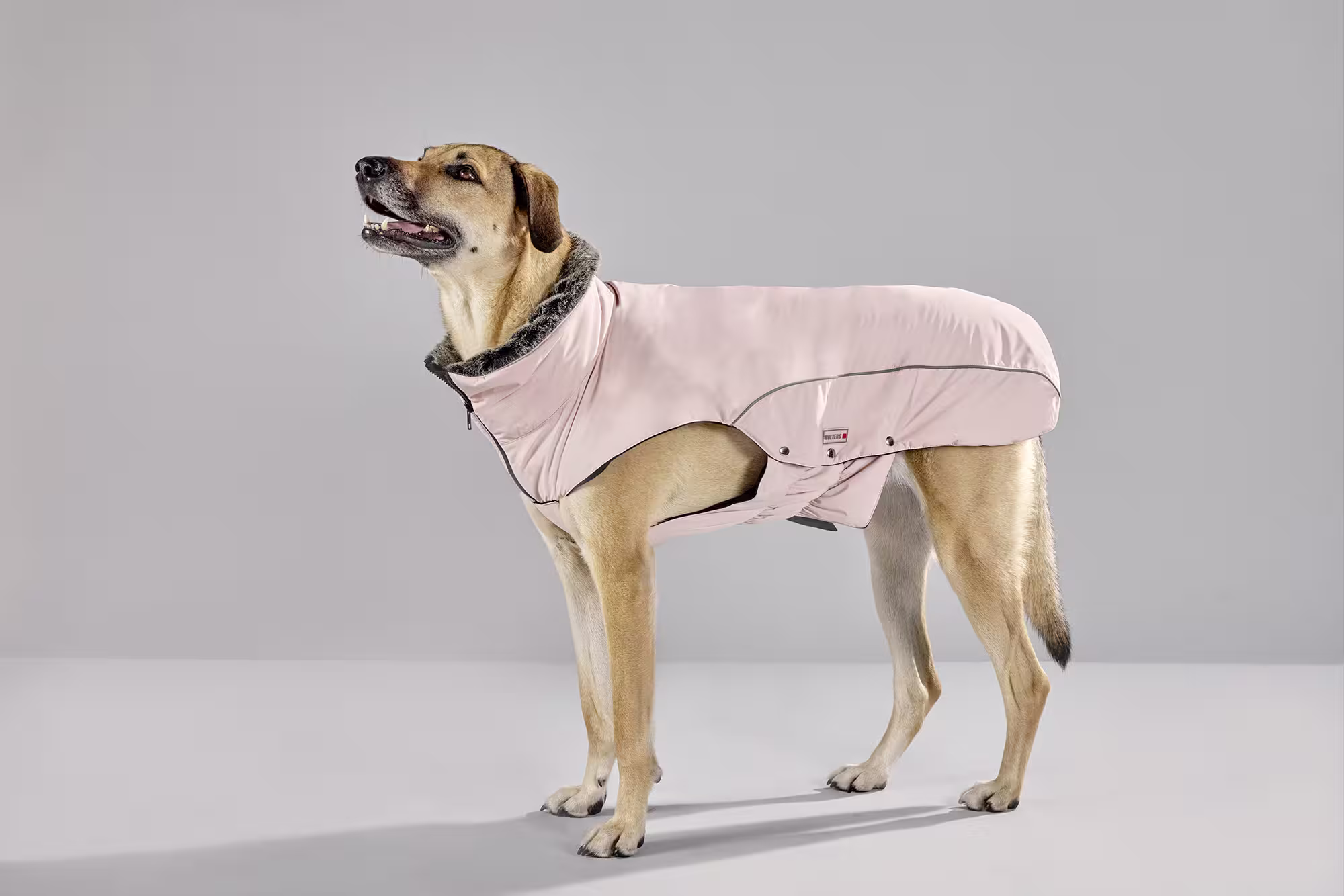 Veste d’hiver Amundsen