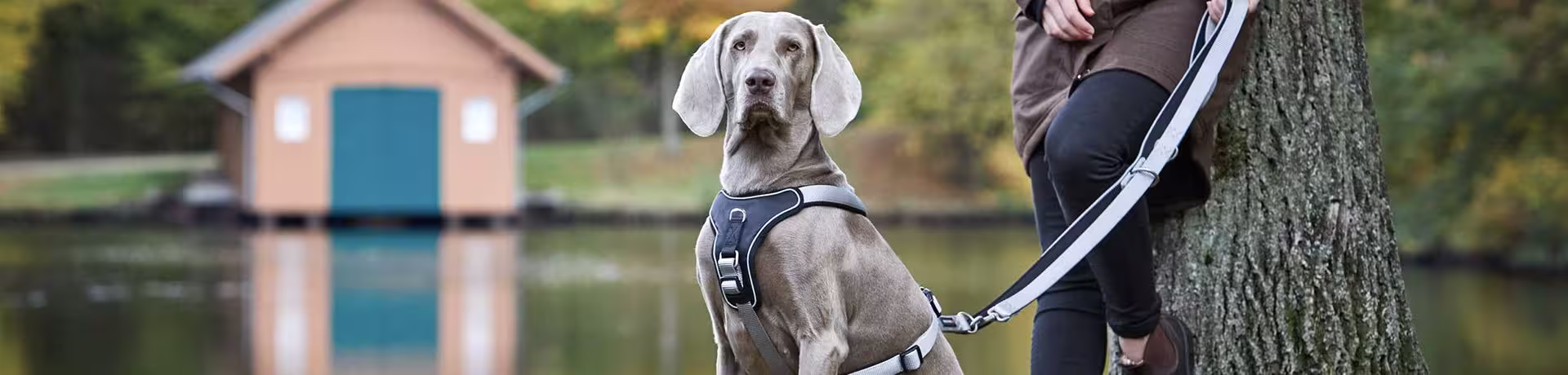 Tierbedarf WOLTERS cat & dog GmbH