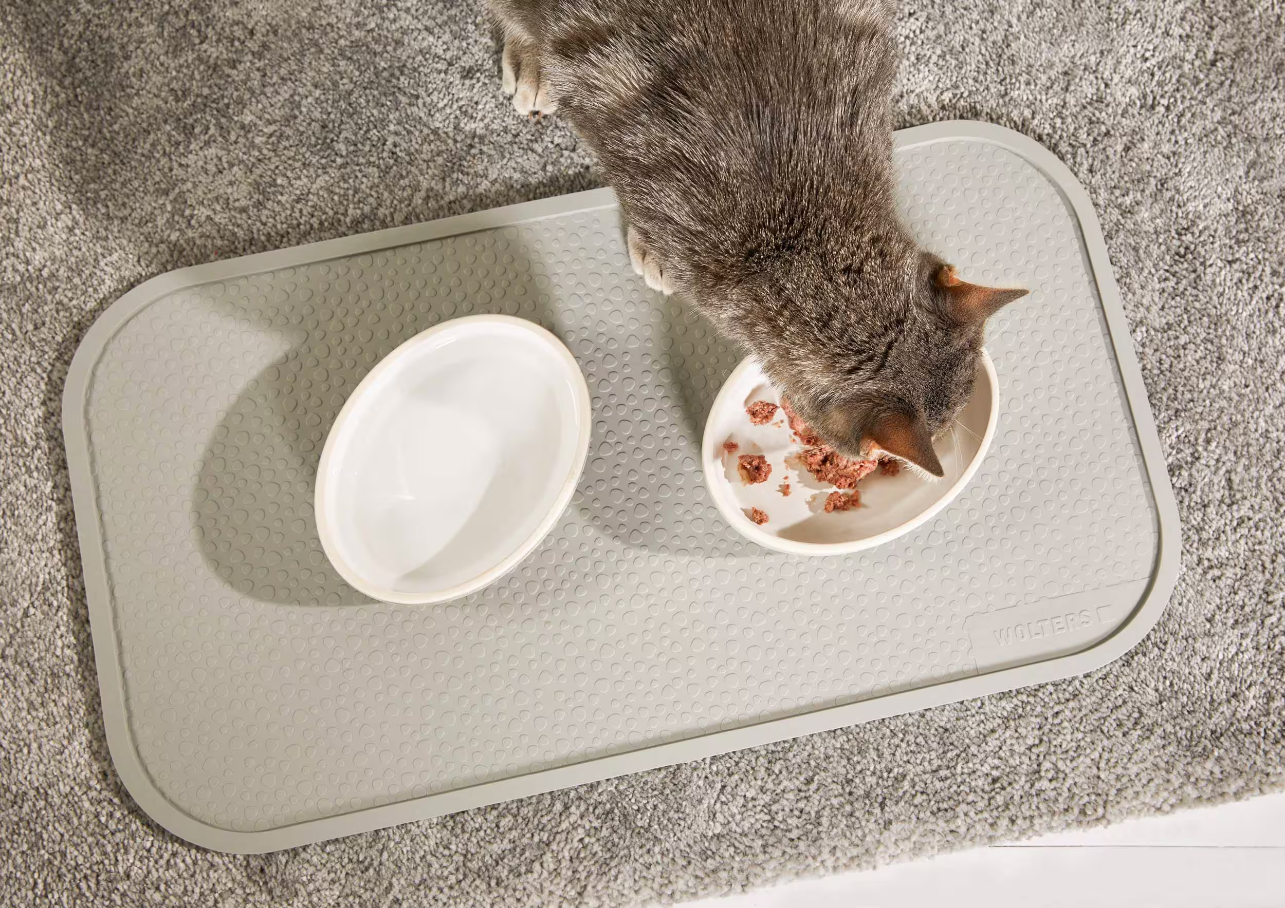 Diner Stone für Katzen