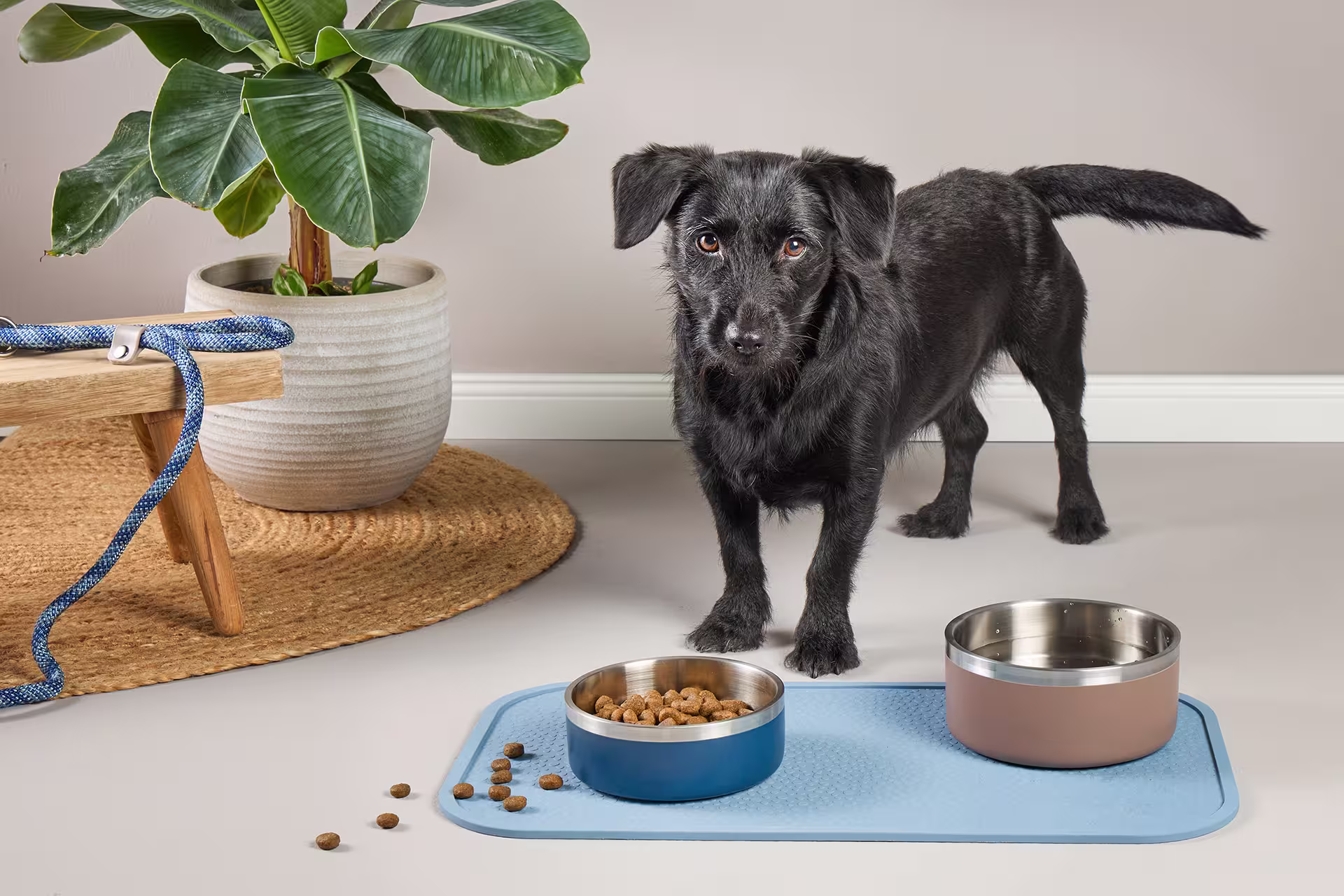  WOLTERS cat & dog GmbH