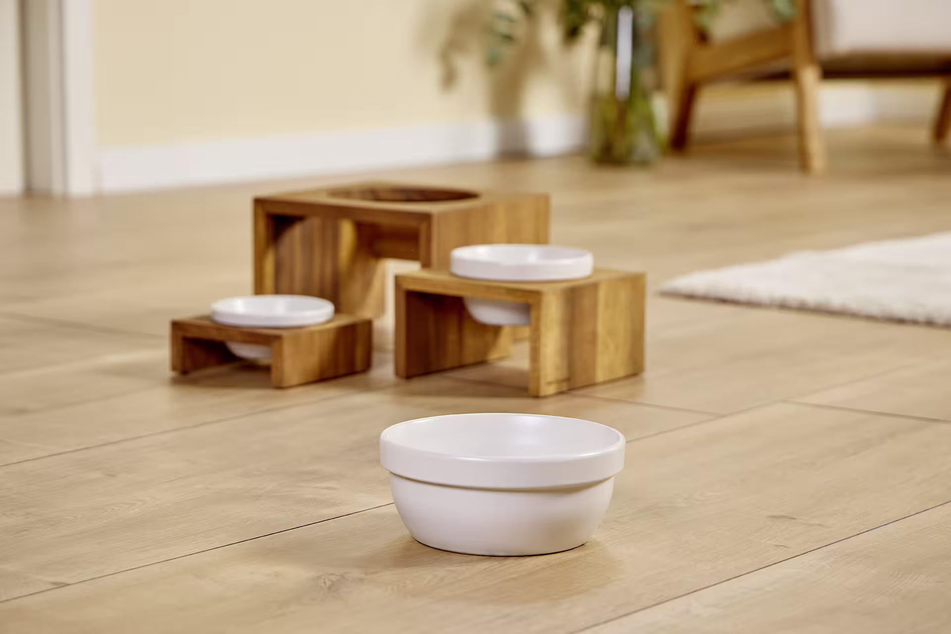  WOLTERS cat & dog GmbH