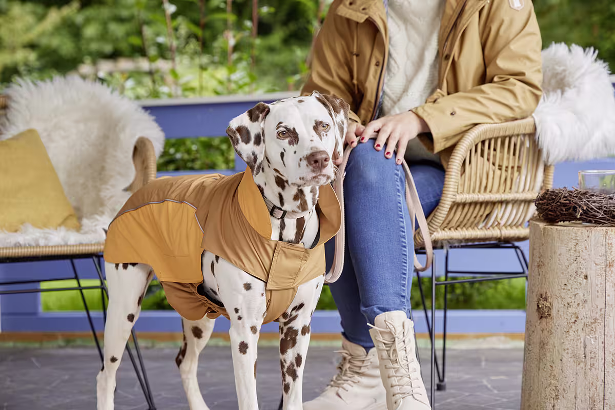  WOLTERS cat & dog GmbH