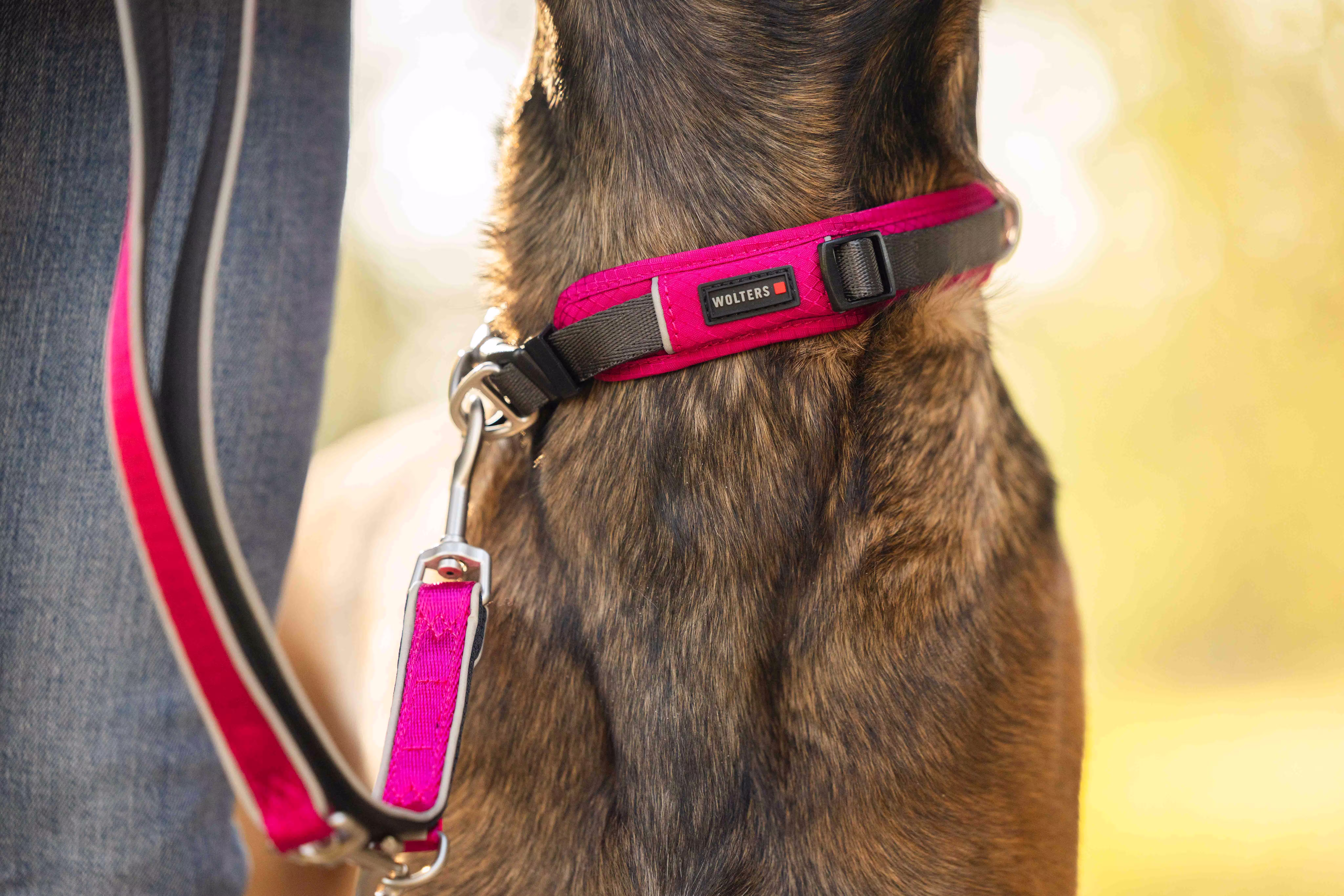Active Pro Comfort Halsband WOLTERS cat & dog GmbH