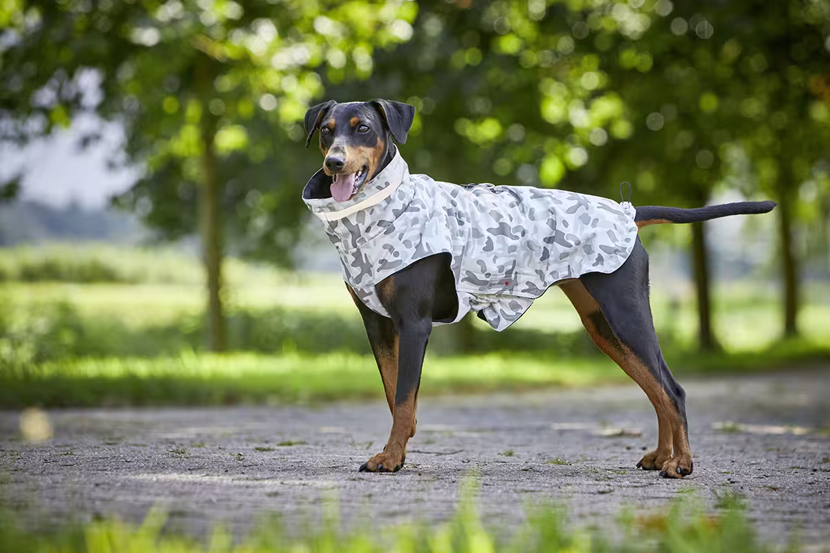 Veste d'extérieur camouflage