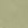 khaki green