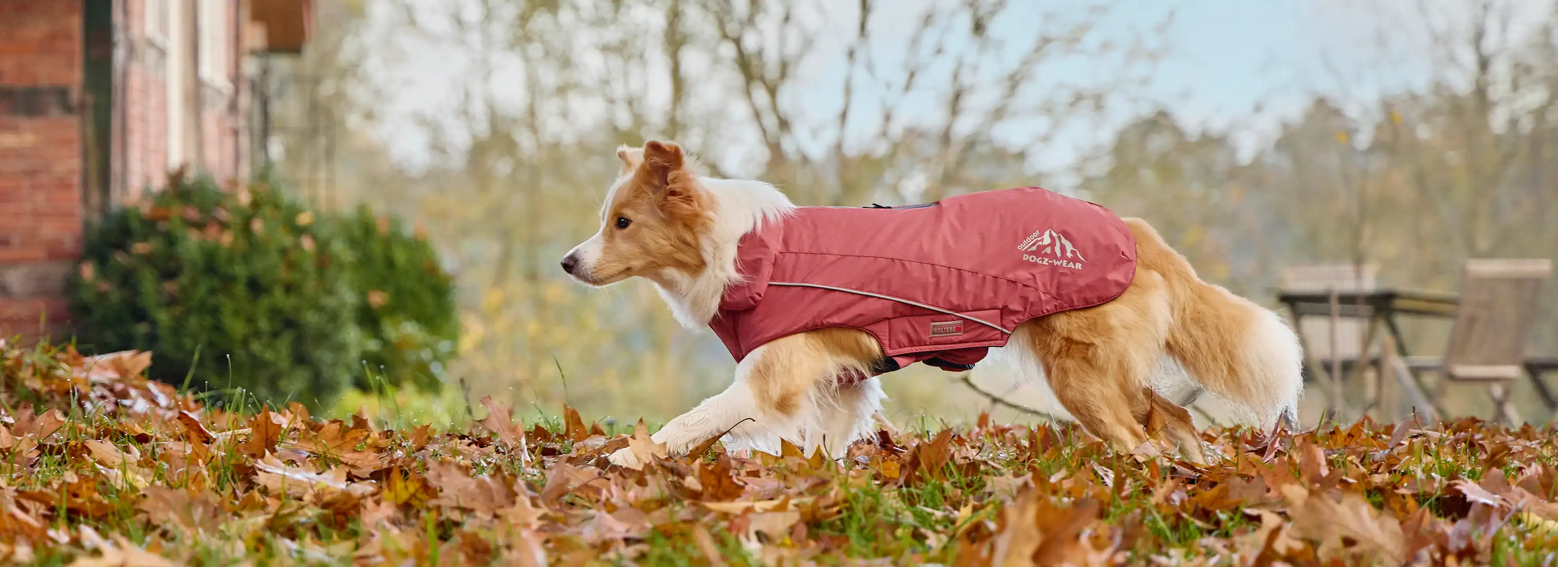 Tierbedarf WOLTERS cat & dog GmbH