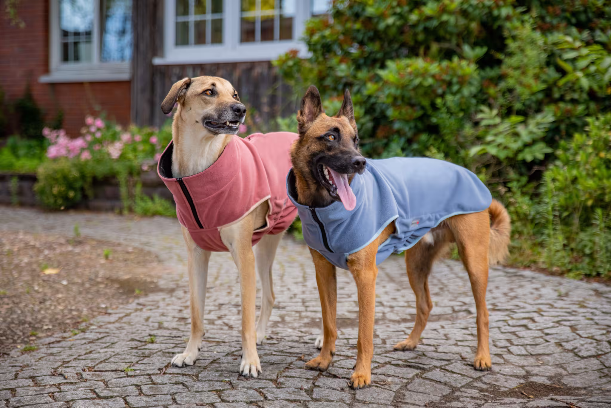 Veste polaire Casual