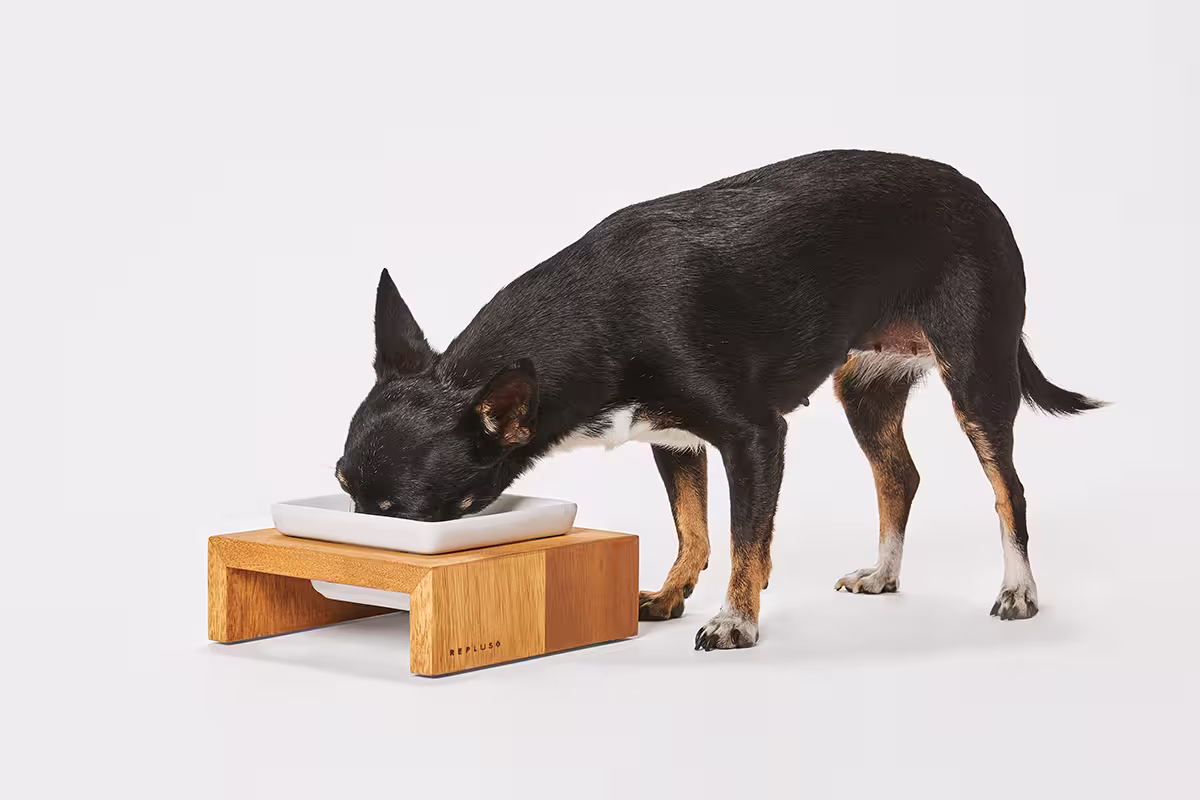  WOLTERS cat & dog GmbH