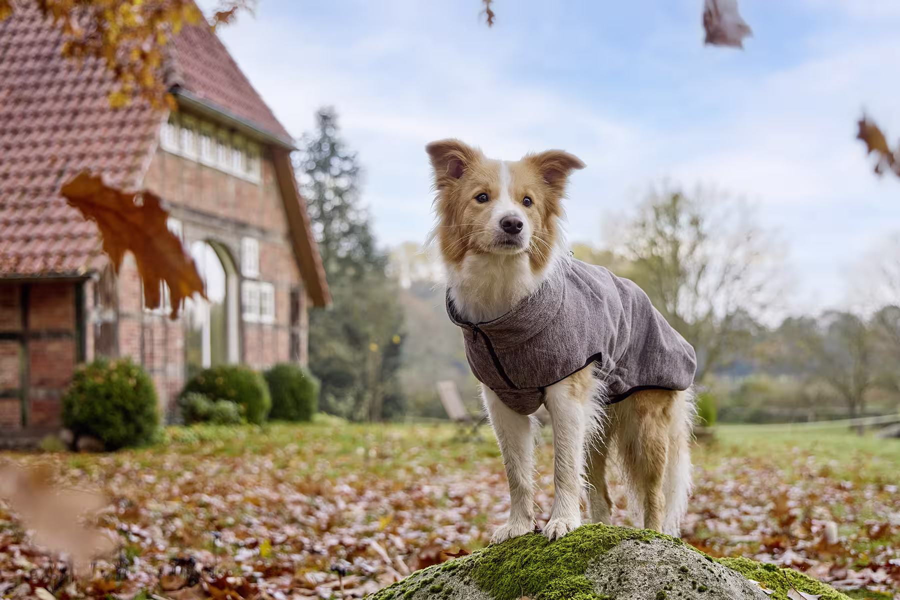 Veste polaire Casual