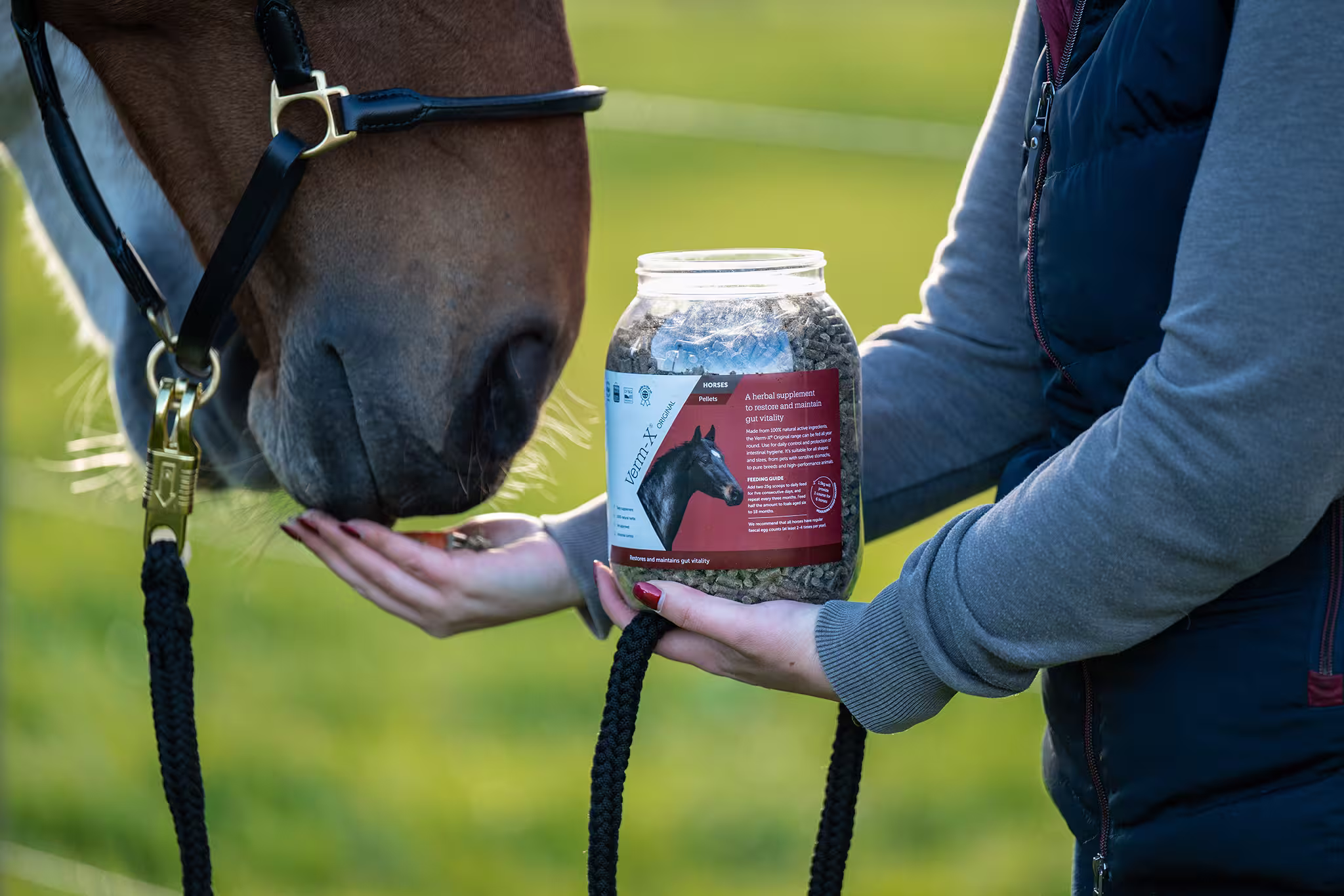 Verm-X Pellets für Pferde & Ponys