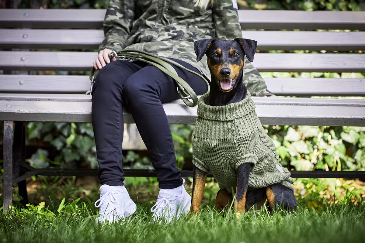 Pull en maille tressé
