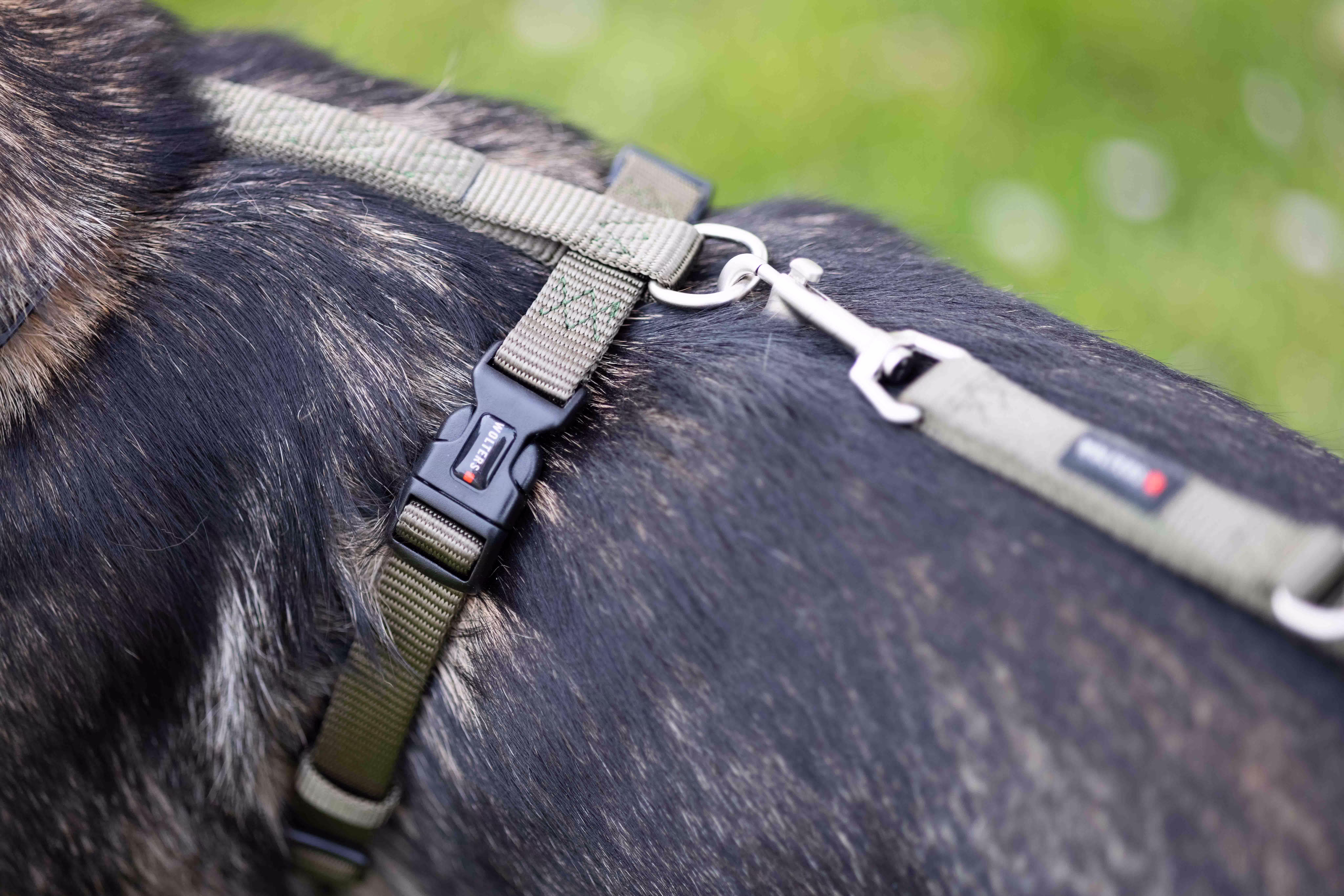 Professional harness
