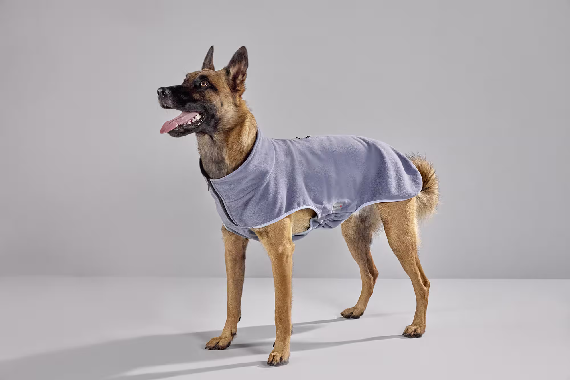 Veste polaire Casual