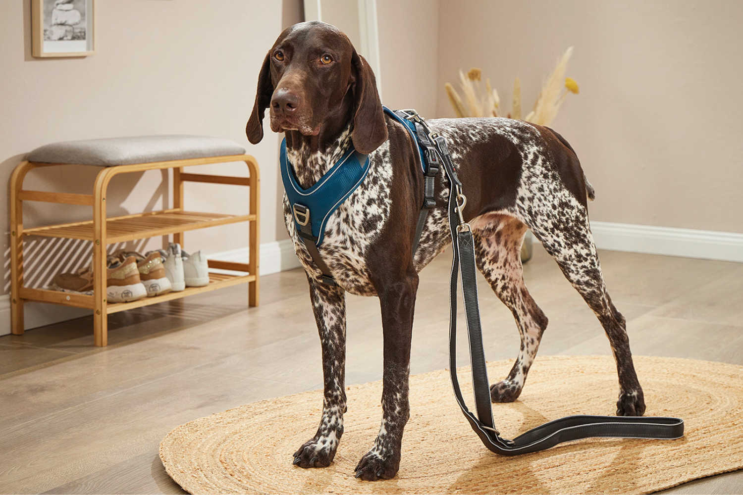 Tierbedarf WOLTERS cat & dog GmbH