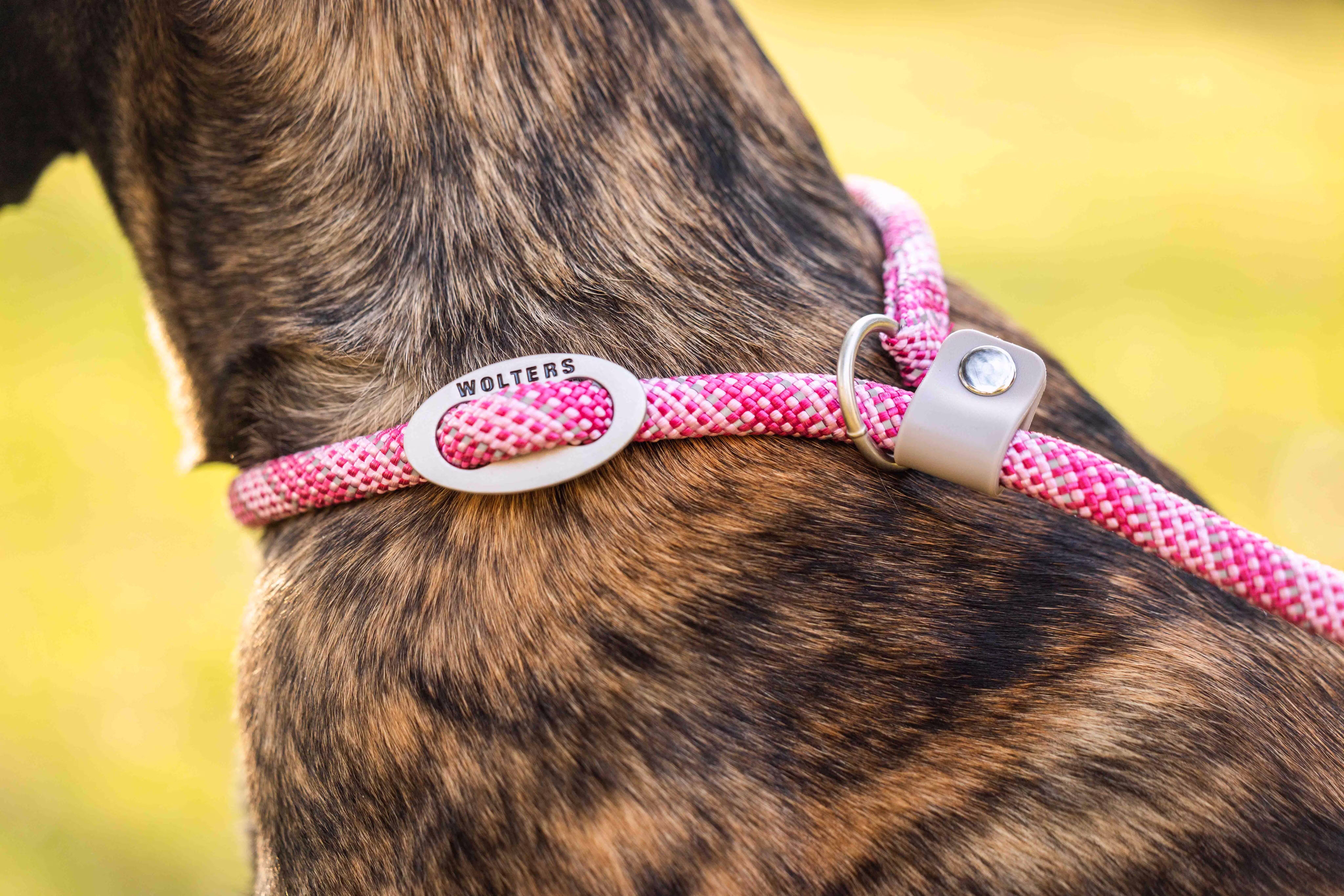 Everest-Tauprogramm Moxonleine WOLTERS cat & dog GmbH