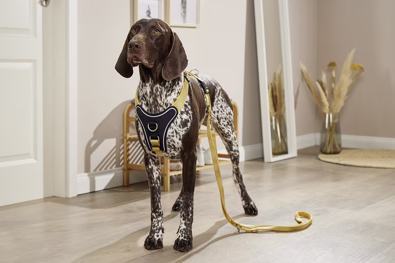 Tierbedarf WOLTERS cat & dog GmbH