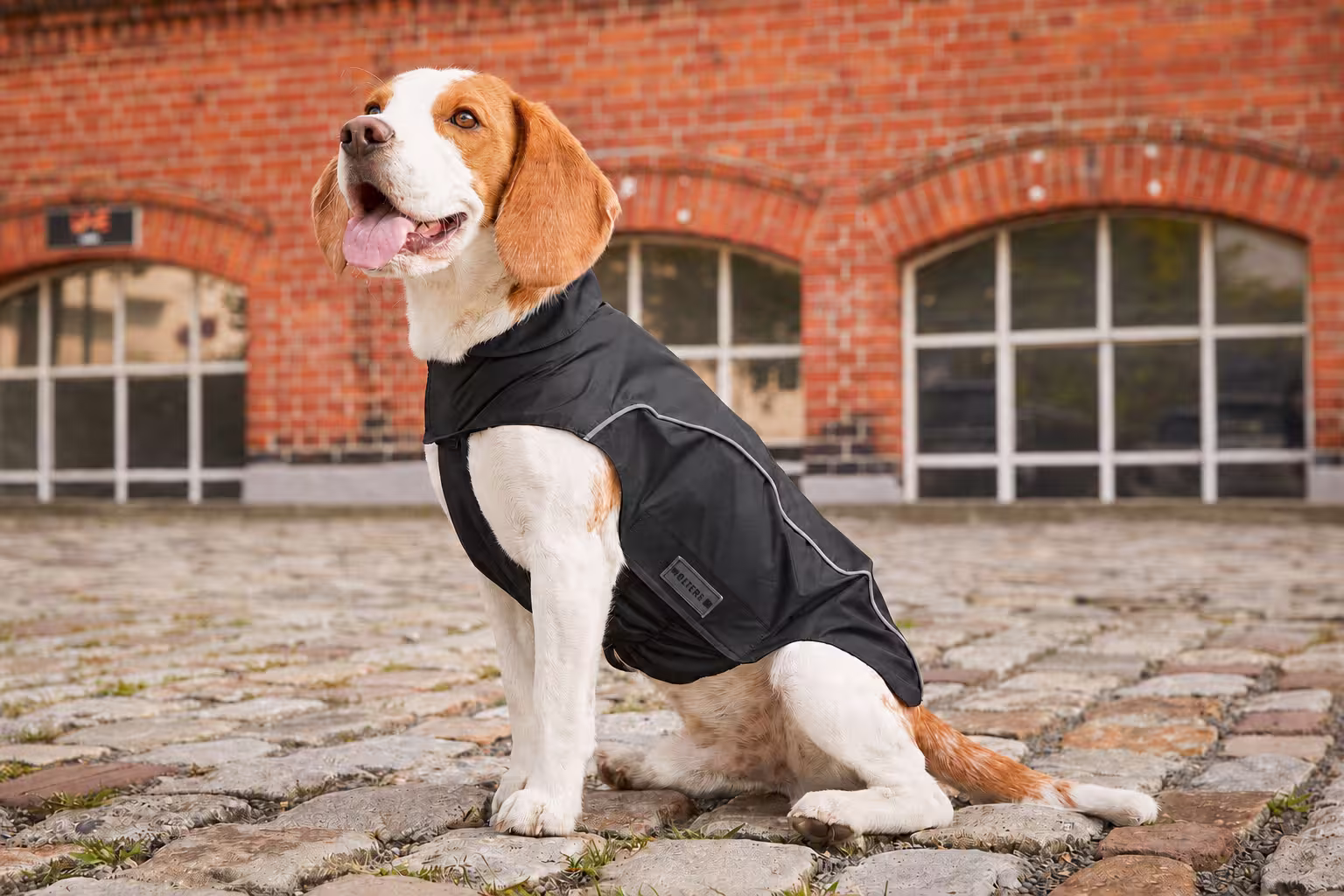 Easy Rain Rain Jacket