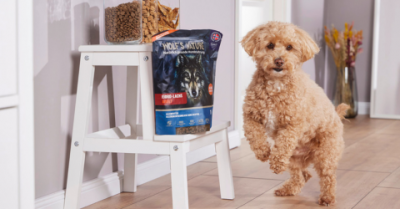Tierbedarf WOLTERS cat & dog GmbH