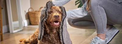 Tierbedarf WOLTERS cat & dog GmbH