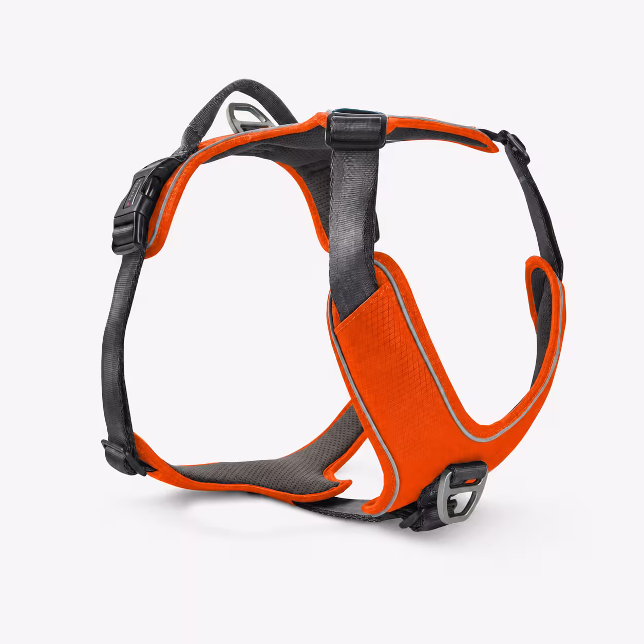 Active Pro Comfort Geschirr WOLTERS cat & dog GmbH
