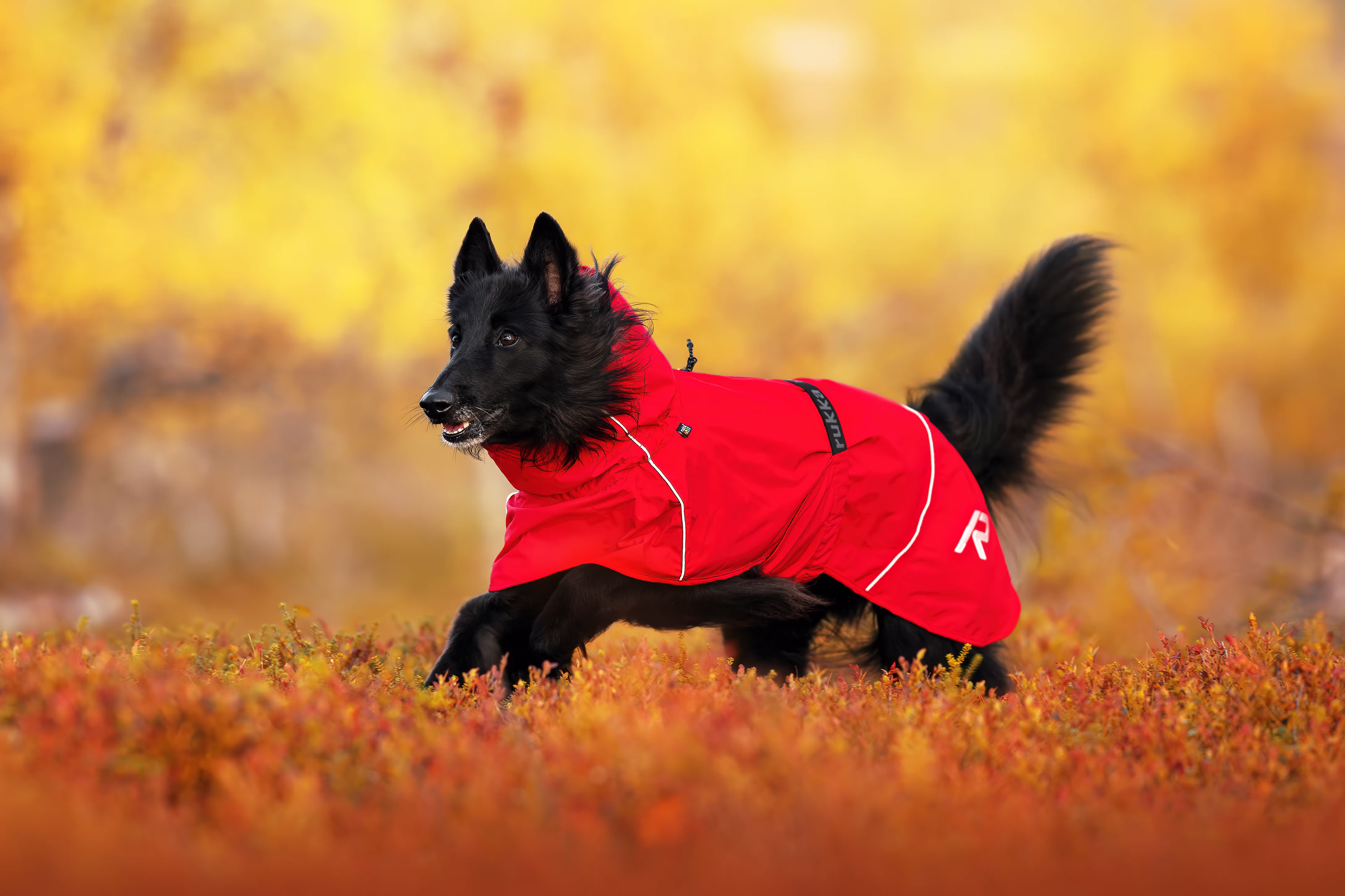 Rukka Pets Regenmantel Hayton X
