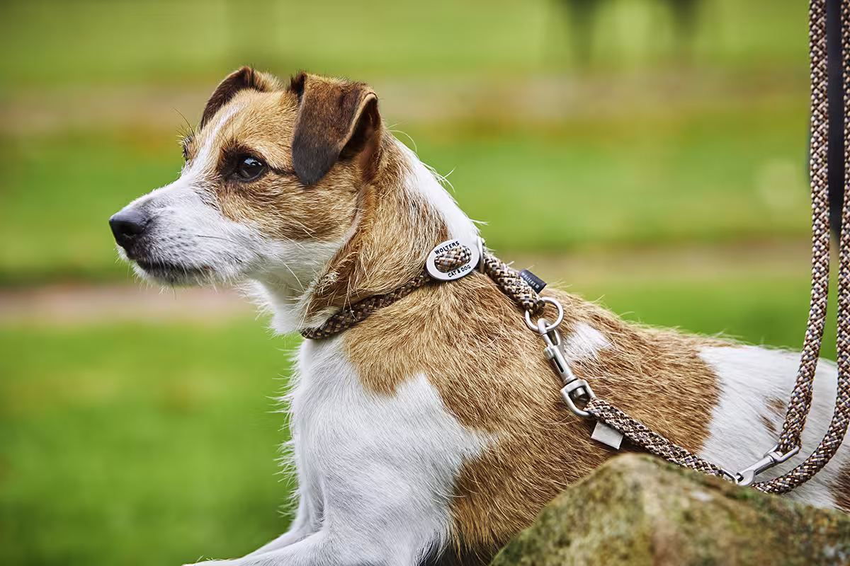Everest Rope Program Slip Collar