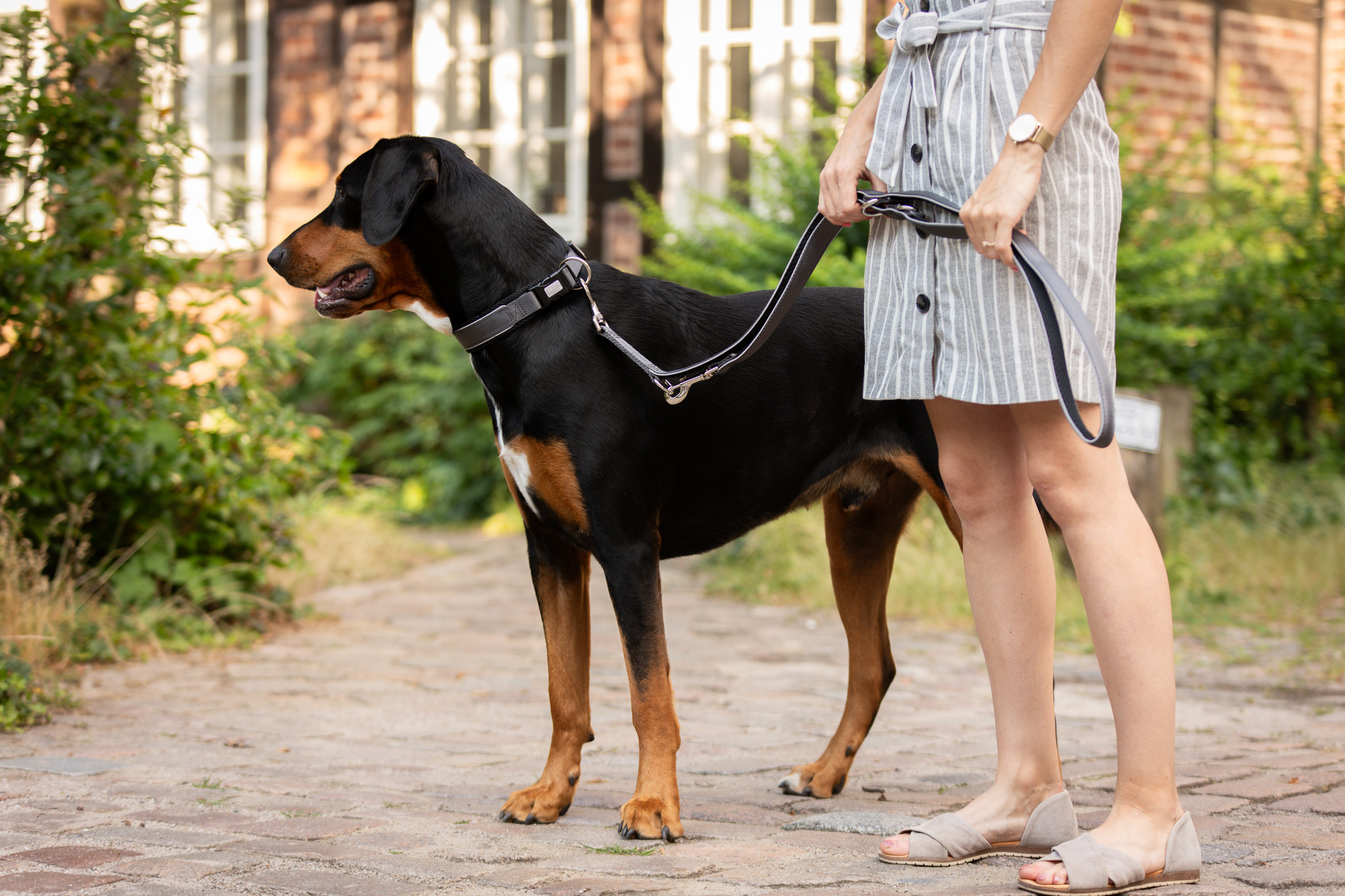Tierbedarf WOLTERS cat & dog GmbH