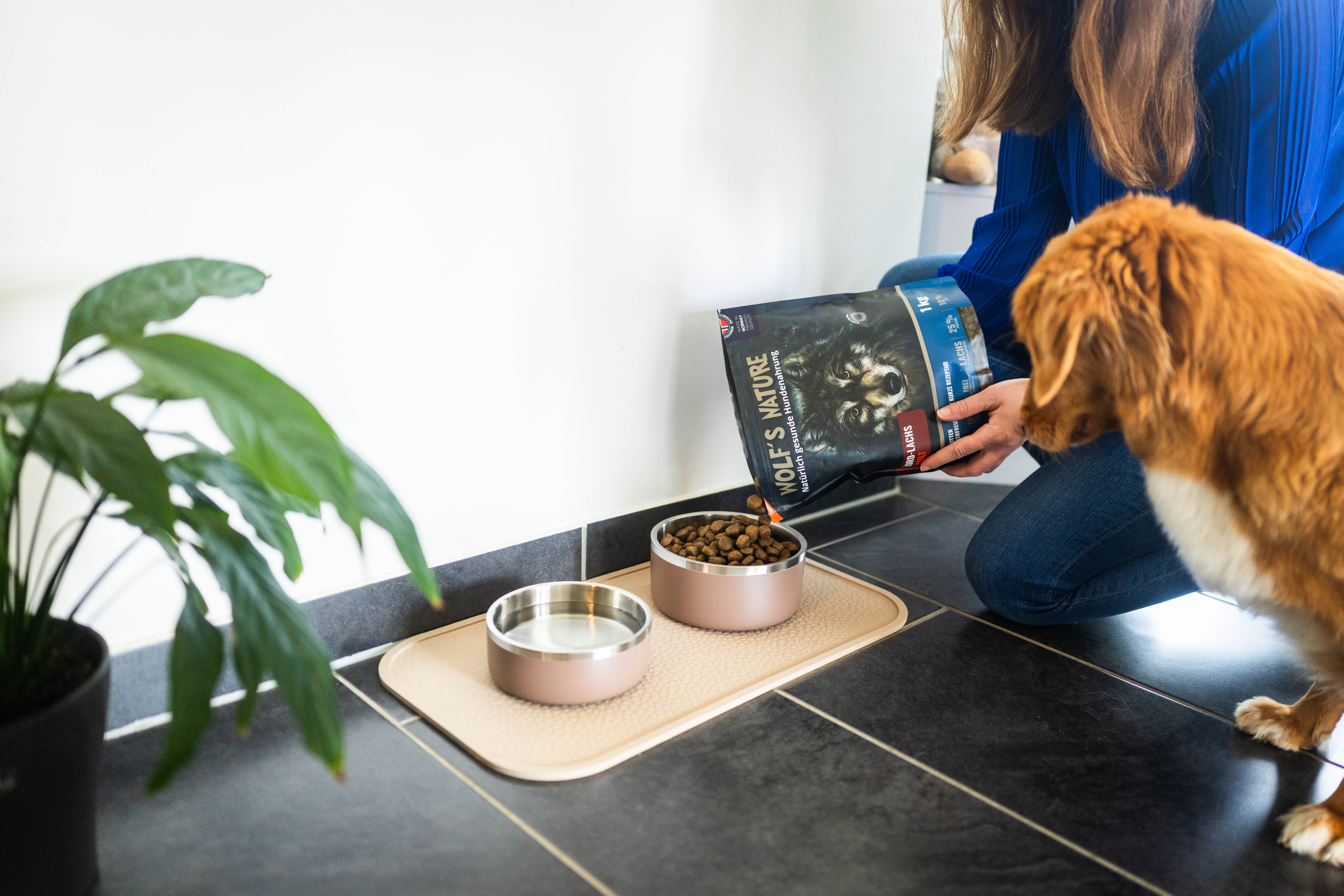 Tierbedarf WOLTERS cat & dog GmbH