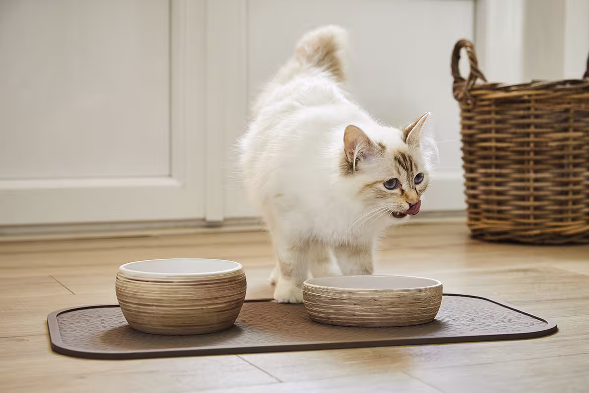  WOLTERS cat & dog GmbH