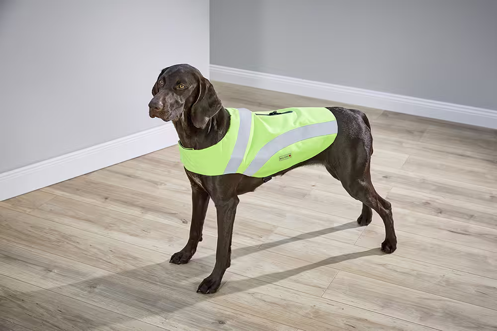Sicherheitsweste Security