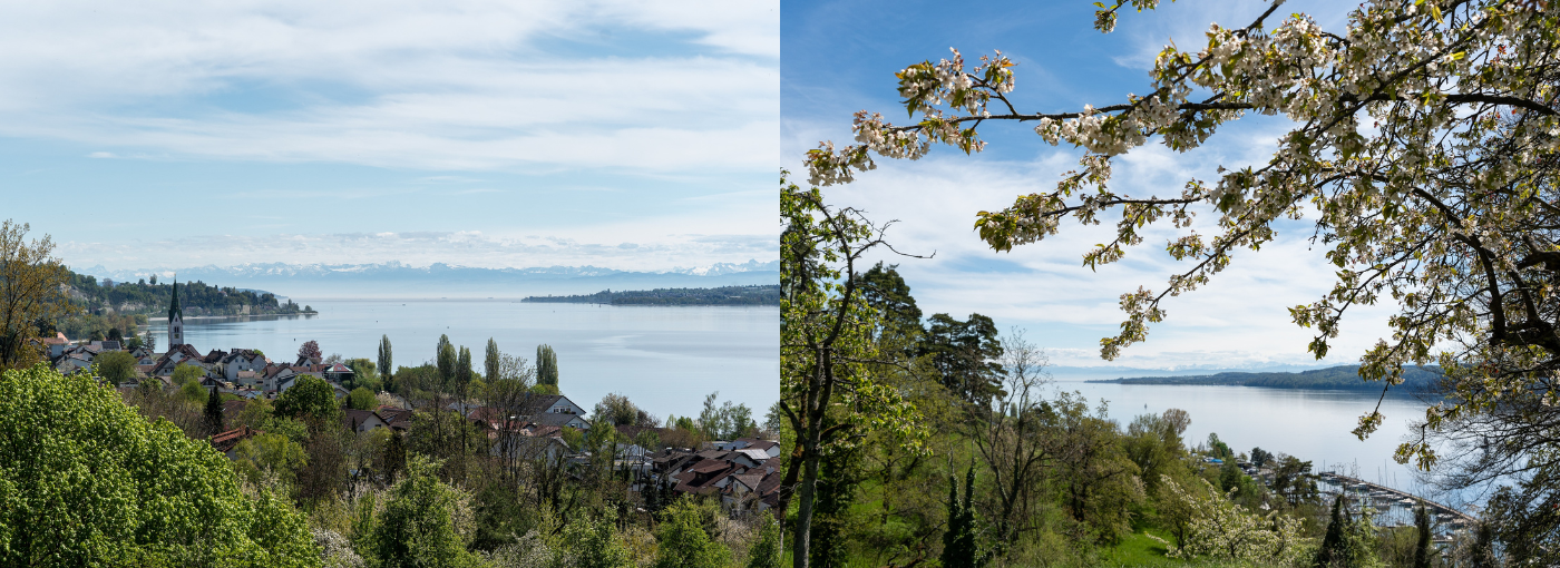 Wandern, Baden, Genießen – Urlaub am Bodensee mit Hund – Bild 4
