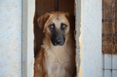 Tierbedarf WOLTERS cat & dog GmbH