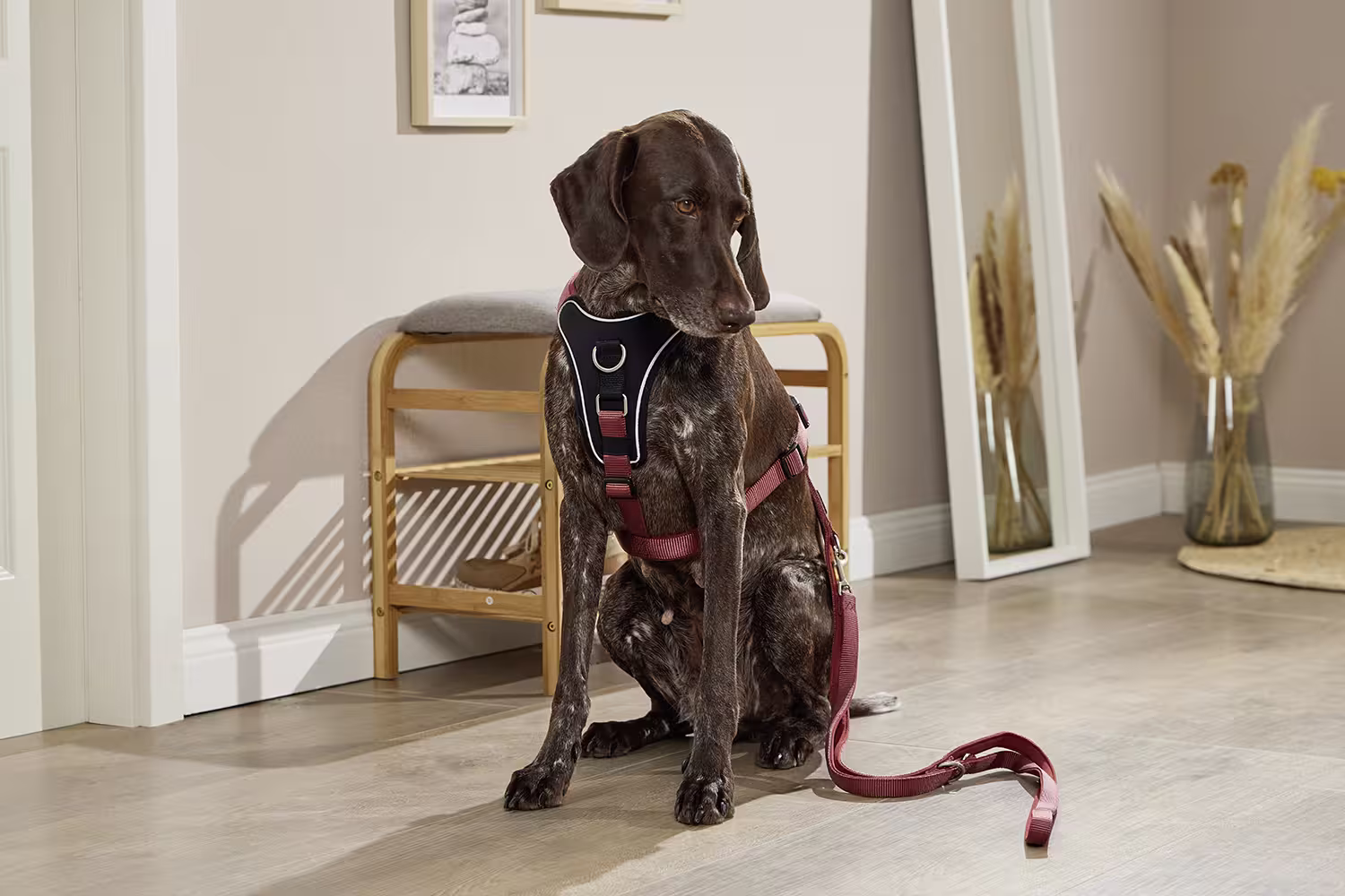 Professional Comfort Führleine WOLTERS cat & dog GmbH