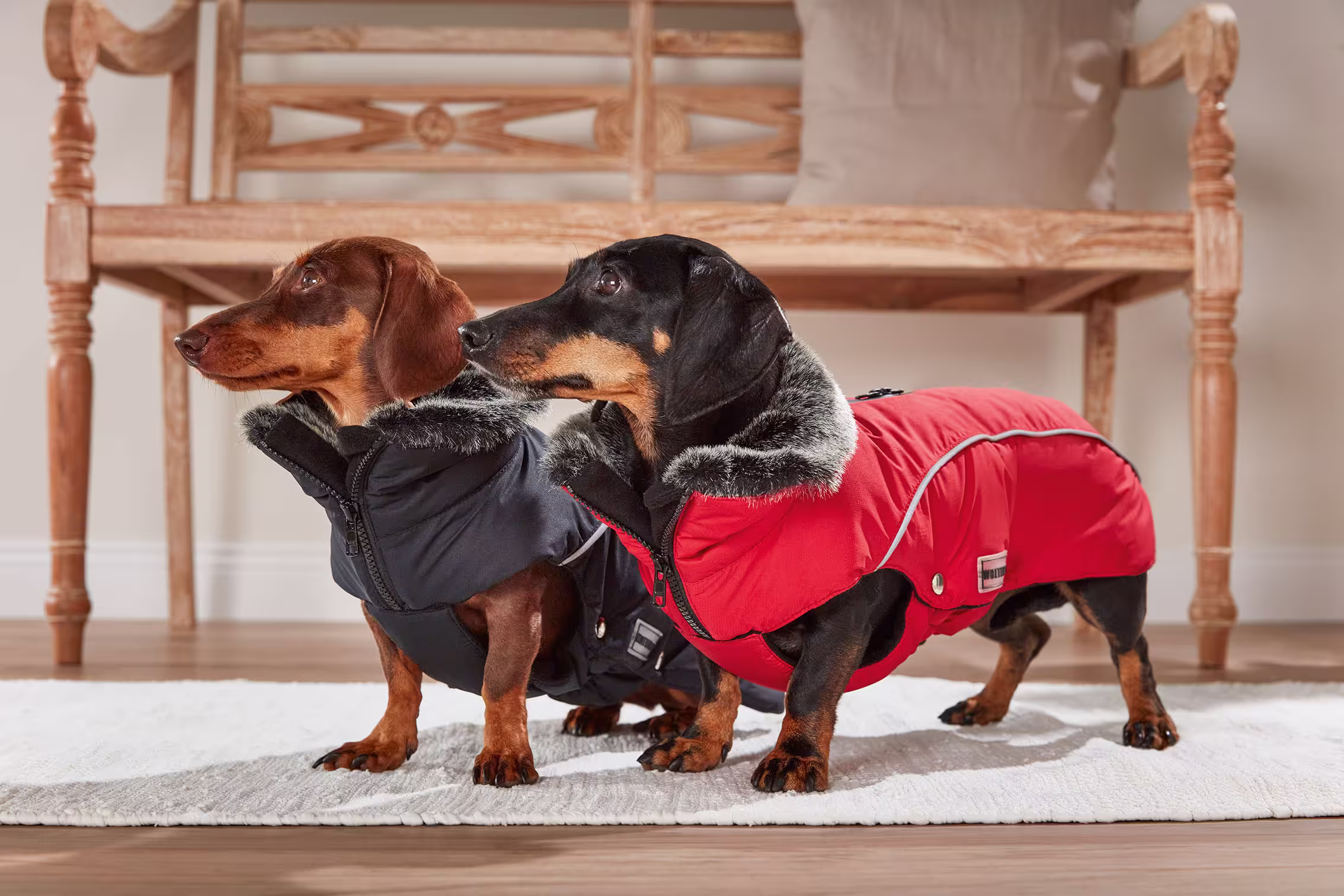 Winterjacke Amundsen – langer Rücken