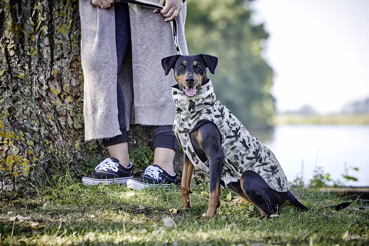  WOLTERS cat & dog GmbH