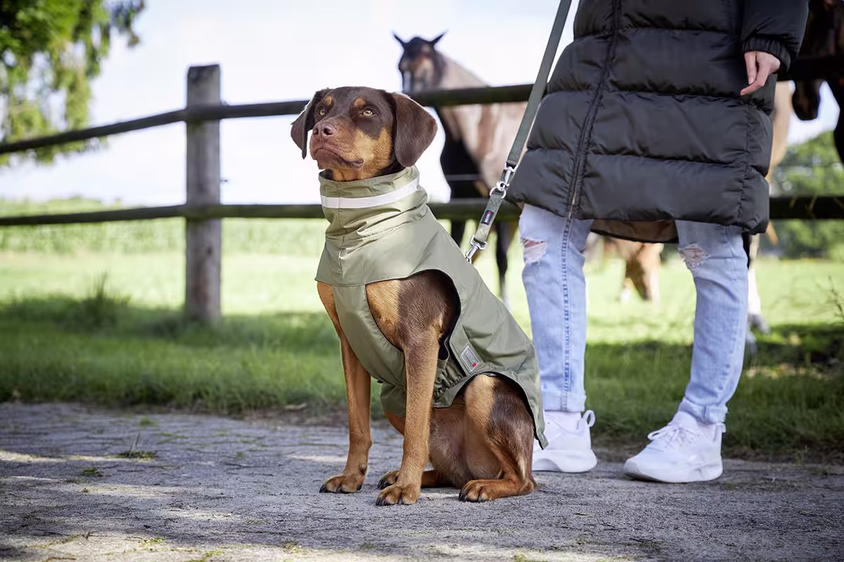 Outdoor Jacket Modern Classic
