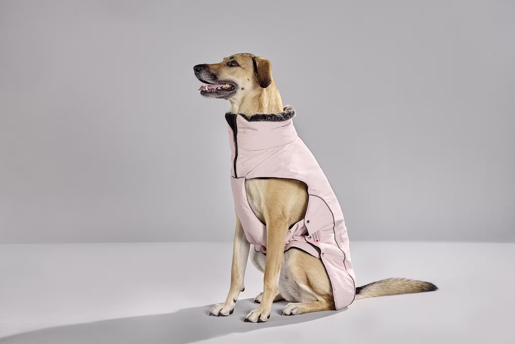Veste d’hiver Amundsen