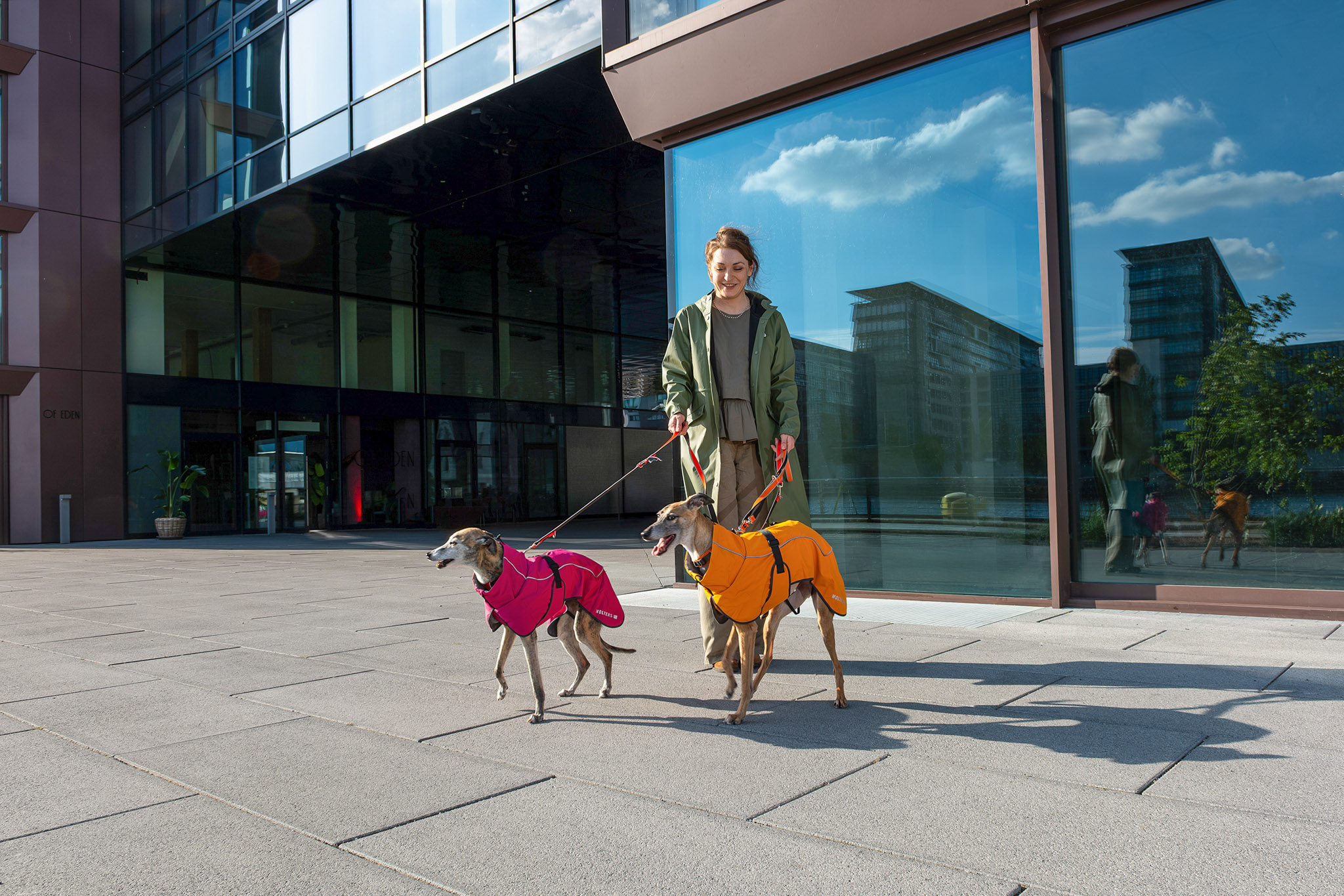 Tierbedarf WOLTERS cat & dog GmbH