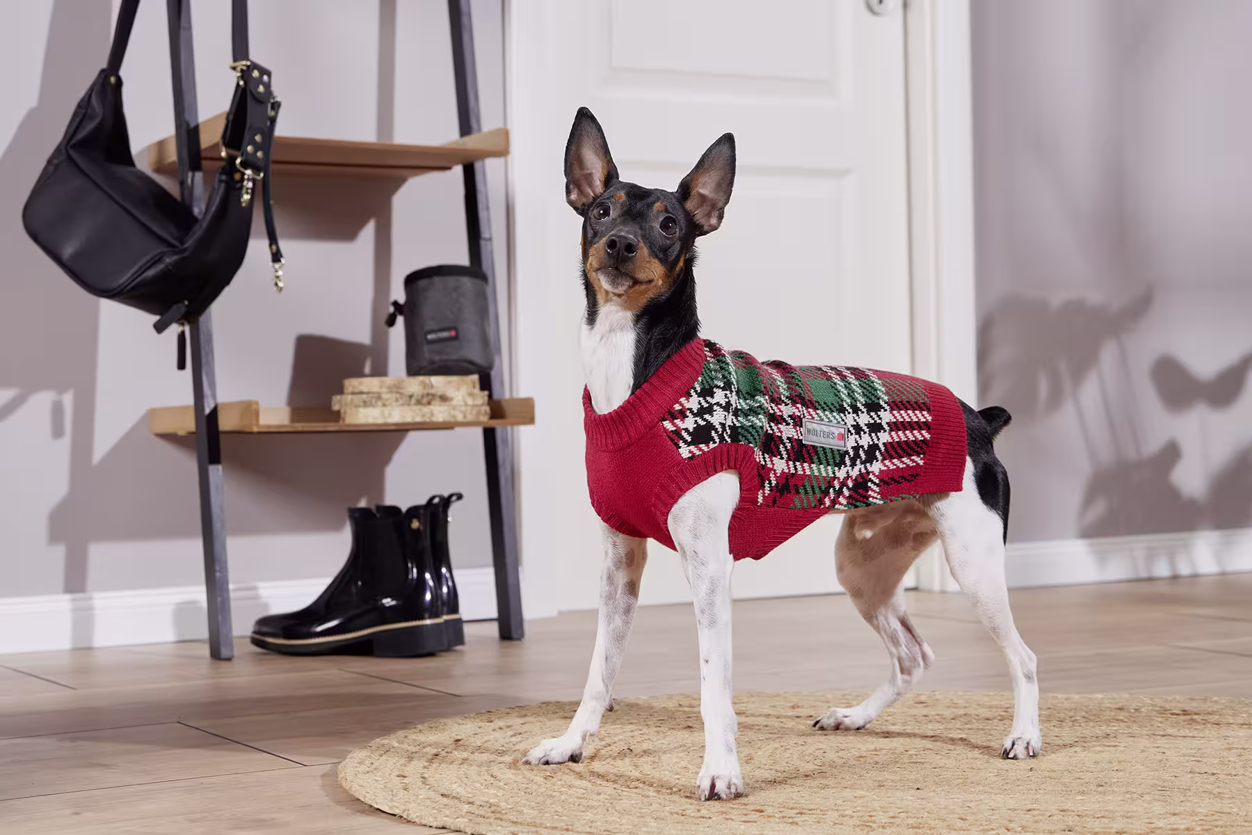  WOLTERS cat & dog GmbH